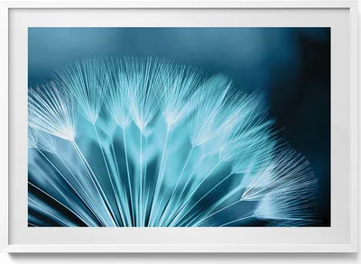 Produktbild von Nahaufnahme einer Schmeißfliege– Wandbild mit Rahmen – Gerahmtes Bild  – Wanddekoration – 100x70 cm –  Weiß Rahmen
