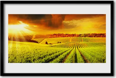 Produktbild von Bild 60x40 MDF-Rahmen Wandkunst Feld-Sonnenuntergang-Landschaft