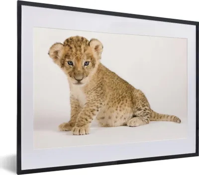 Produktbild von MuchoWow® MuchoWow® Gerahmtes Poster Porträt - Tiger - Weiß 40x30 cm - Poster mit zchwarzem Bilderrahmen - Bilderrahmen - Poster im Rahmen