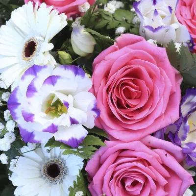 Produktbild von 20 Servietten Garden Florals 33x33cm