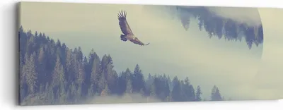 Produktbild von Bild auf Leinwand - Leinwandbild - Vogel Natur Wald - 90x30cm - Wand Bild - Wanddeko - Wandbilder - Leinwanddruck - Bilder - Kunstdruck - Wanddekoration - Leinwand bilder - Wandkunst - AB90x30-3853