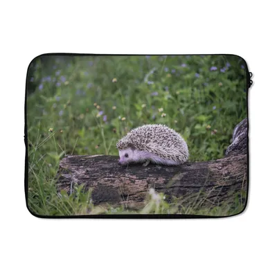 Produktbild von MuchoWow® Laptop Hülle 13 Zoll Igel auf Baumstumpf Laptoptasche - Laptophülle - Sleeve - Rundumschutz