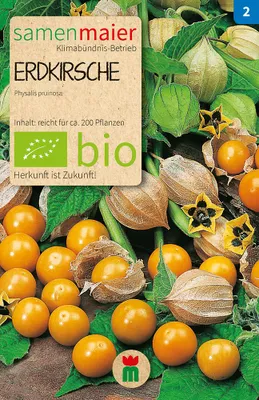 Artikelbild 1 von 'BIO Erdkirsche' aus der Kategorie Andenbeerensamen