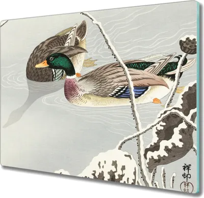 Produktbild von Coloray Küchenbrett Kochplattenabdeckung Hackbrett Schneidebrett Herdabdeckplatte 60x52 cm - Tiere Vögel Wasser