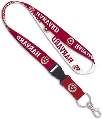 Image de Signe d'alarme pour ceinture de sécurité - Collier de sécurité - Longueur : 58 cm - Couleur : rouge - Équipement de sauvetage