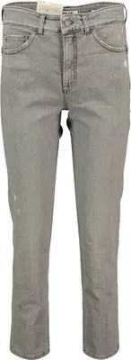 Produktbild von Salsa Jeans 21009707 Hosen Grau 29 / 28 Frau Grau 29