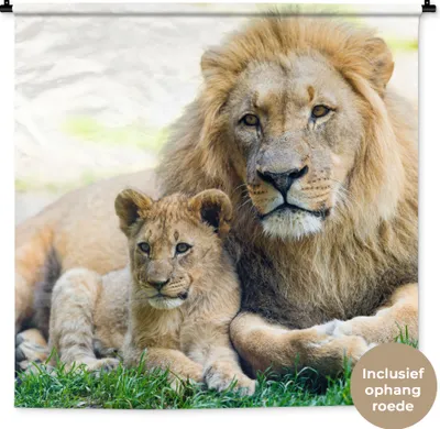 Produktbild von MuchoWow® Wandteppich Wandbehang Löwe - Jungtier - Porträt 120x120 cm Tapisserie Dekoration Wandtuch - Modern - Baumwollgewebe