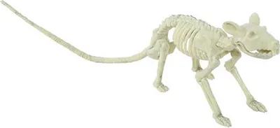Image de Dekorace kostra - KRYSA - Halloween - 20 cm