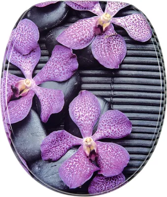 Zdjęcie produktu dla Deska sedesowa SANILO® Vanda, pokrywa sedesowa bezpośrednio od producenta, deska sedesowa, deska sedesowa, deska sedesowa, deska sedesowa, deska sedesowa, deska sedesowa, deska sedesowa, deska sedesowa