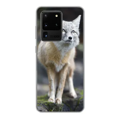 Produktbild von MuchoWow® Handyhülle Schutzhülle Hülle für Samsung Galaxy S20 Ultra Fuchs - Makro - Baum Silikon Softcase Handy Hülle - Karteninhaber