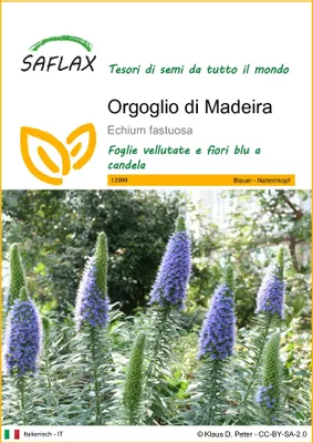 Immagine prodotto di SAFLAX  - Orgoglio di Madeira - 100 semi - Echium