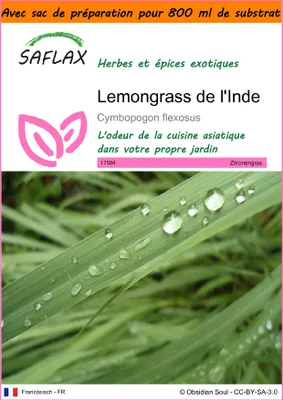 Image de SAFLAX Garden in the bag - Lemongrass de l'Inde - 50 graines - Cymbopogon