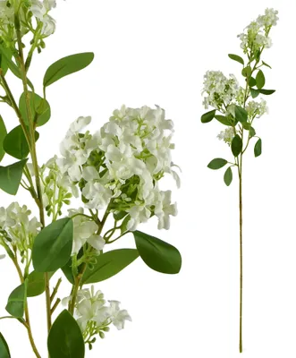 Produktbild von Kunstblumen-Zweig Kunststoff MONDEX Viridis 80 cm Grün 1 Stück