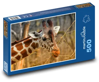 Zdjęcie produktu dla Puzzle 500 Żyrafa na wolności - martinpuzzle