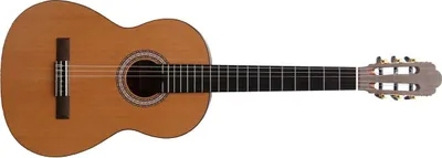 Image de Guitares Prodipe Primera 4/4 Naturel
