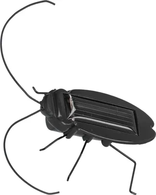 Produktbild von Solarbetriebene Insektenspielzeuge, Simulation gefälschter Kakerlaken, Halloween-Kakerlaken-Dekorations-Requisiten