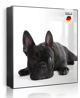 Produktbild von banjado Schlüsselkasten aus Metall, 30x30cm groß mit 32 Haken, als Magnettafel nutzbar, Korpus schwarz, Anschlag links, Bulldogge [SKG2 10004]