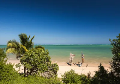Produktbild von Komar Fototapete Madagascar Hideout Blau und Grün - 610815 - 400 x 280 cm