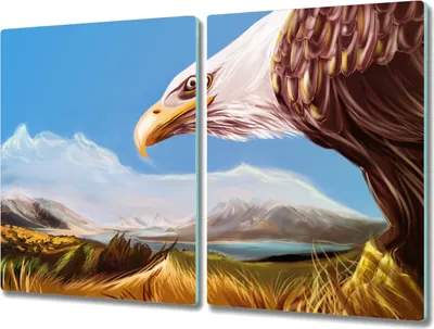 Produktbild von Coloray Hackbrett Kochplattenabdeckung Herdabdeckplatte 2x40x52 cm Schneidebrett Küchenbrett - Tier Vogel Adler Himmel