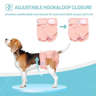 Immagine prodotto di Pannolini per cani, confezione da 3 pezzi - Riutilizzabili - Altamente assorbenti - Lavabili - Ecologici - Pantaloni per cani femmina - Pantaloni per cani