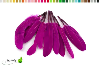 Produktbild von 10 Entenfedern ca. 10-15cm, Farbauswahl:magenta / purpur 400
