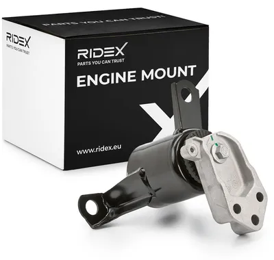 Produktbild von RIDEX Motorlager Hydrolager Rechts für FORD Fiesta Mk6 Schrägheck (JA8, JR8) 247E0438