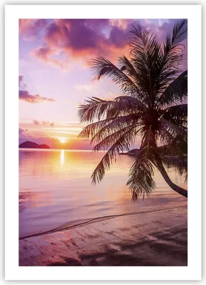 Produktbild von Poster - Poster ohne Rahmen - Strand Meer Palme - 50x70 cm - Wand Bild - Wanddeko - Wandbilder - Kunstposter - Wandposter - Bilder - Kunstdruck - Wanddekoration - Wandbild - P2XPA50x70-3912