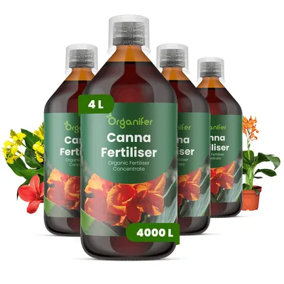 Produktbild von Canna Flüssigdünger 4x1L – 3-4-3 NPK – Flüssigdünger Für Blühpflanzen – Für Üppige Blätter & Kräftige Blüten – Organifer
