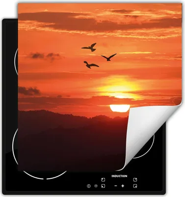 Produktbild von DarHaus Herdabdeckplatte 60x52 cm Anti Rutsch Matte Aufrollbar, Himmel - Vogel