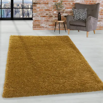 Obrázek produktu pro Homebyhome Vysoký Chlup Jednobarevný Koberec Moderní Shaggy do Obývacího Pokoje Hebký M?kký a Pohodlný Výhodná Cena, Velikost: 300x400 cm
