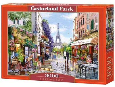 Image de Puzzle 3000 pièces Paris 300525