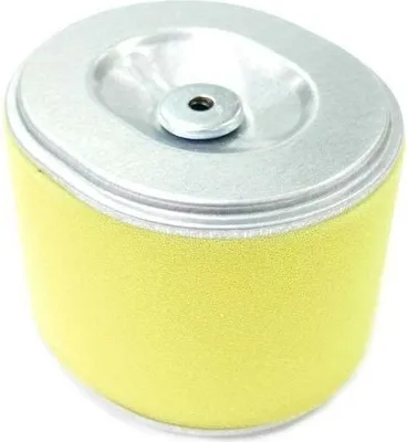 Produktbild von Honda GX240 und GX270 Motorluftfilter