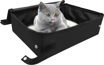 Produktbild von Famanu Katzentoilette Faltbar - Wasserfest und Kratzfest mit Deckel (Schwarz)