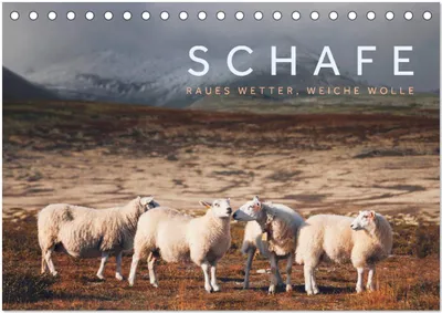 Produktbild von Schafe - Raues Wetter, weiche Wolle (Tischkalender 2026 DIN A5 quer), CALVENDO Monatskalender