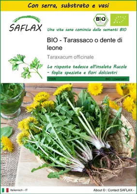 Immagine prodotto di SAFLAX Insieme di coltivazione -- Tarassaco o dente di leone - 400 semi - Taraxacum