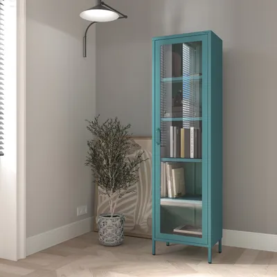 A teal metal display cabinet with glass doors filled with books, placed in a room with a plant and blinds.