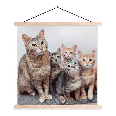 Produktbild von MuchoWow® Textilposter Katze - Kätzchen - Fell 120x120 cm mit holzfarbenen Rahmen - Textil-Poster