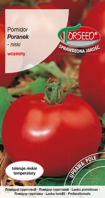 Produktbild von Samen von Morning Ground Tomato 0.5g - Torseed
