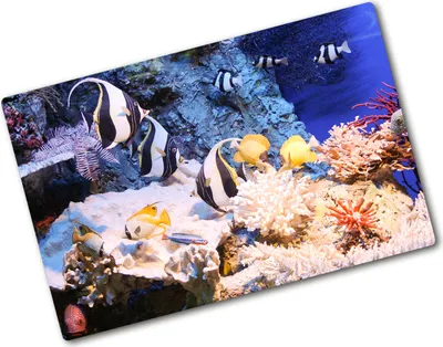 Produktbild von Tulup Glas Herdabdeckplatte - 80x52 cm - Glaskeramikkochfeld-Abdeckung Spritzschutz Glasabdeckplatte - Einteilig - Tiere - Korallenriff - Mehrfarbig