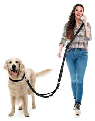 Produktbild von Freihandleine für Hunde, Joggingleine für mittelgroße und große Hunde mit Autosicherheitsgurt und reflektierenden Nähten (Schwarz)