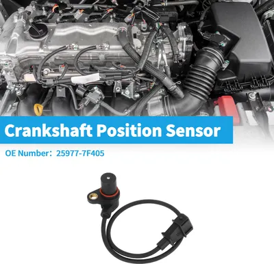 Image de 1 Capteur De Position Du Vilebrequin Pour Nissan Terrano 2.7Tdi 4Wd 96-07 Robuste MšŠtal Plastique Noir Capteur De Vilebrequin Du Moteur Ckp
