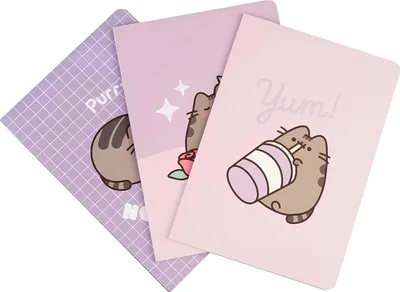 Produktbild von Pusheen Moments pack 3 A5 Notizbuchs