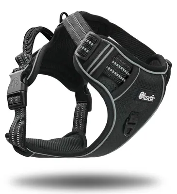 Produktbild von Bluzelle Hundegeschirr Brustgeschirr klein S verstellbar reflektierend Griff