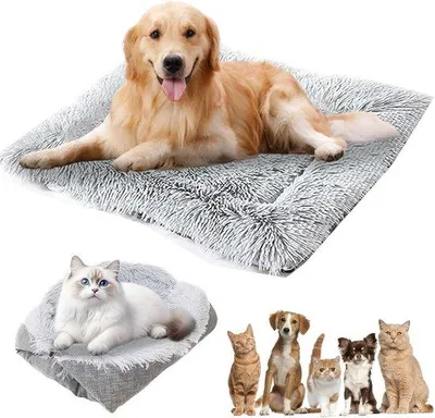 Produktbild von Famanu 2-in-1 Plüsch Katzenkissen 61 cm x 51 cm Haustierbett - Weiches Katzenbett mit abnehmbarem Kissen