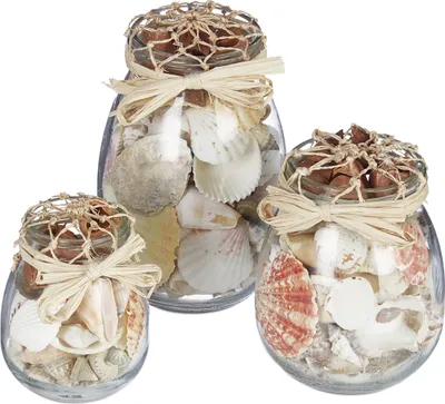 Produktbild von Relaxdays Muschel Deko, 3er Set, echter Muschel-Mix, verschieden große Gläser, maritim, Badezimmer Dekoration, natur