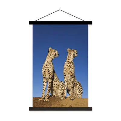 Produktbild von MuchoWow® Textilposter Wilde Geparden 40x60 cm mit schwarzem Rahmen - Wanddekorationen