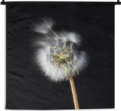 Produktbild von MuchoWow® Wandteppich Wandbehang Eine Pollenblume auf schwarzem Hintergrund 60x60 cm Tapisserie Dekoration Wandtuch - Dekorationen - Wand Decke