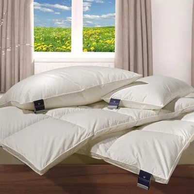 Produktbild von Billerbeck Daunendecke Nena 306 Superlight extra leicht, Füllung: 100% Gänsedaunen 135x200 cm