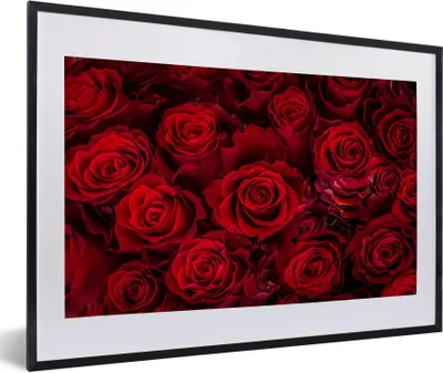 Produktbild von MuchoWow® Gerahmtes Poster Blumen - Rosen - Rot 60x40 cm - Poster mit Schwarzem Bilderrahmen Wandposter Rahmen Foto Bilder - Schlafzimmer - Plakat in Rahmen - Drucken