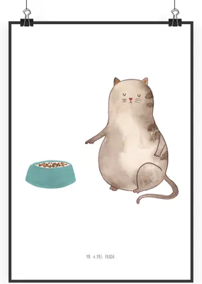 Produktbild von Mr. & Mrs. Panda Bild Katze Fressen DIN A2 - Weiß - Geschenk, Plakat, drucke, wanddeko, Wandbild, Wanddekoration